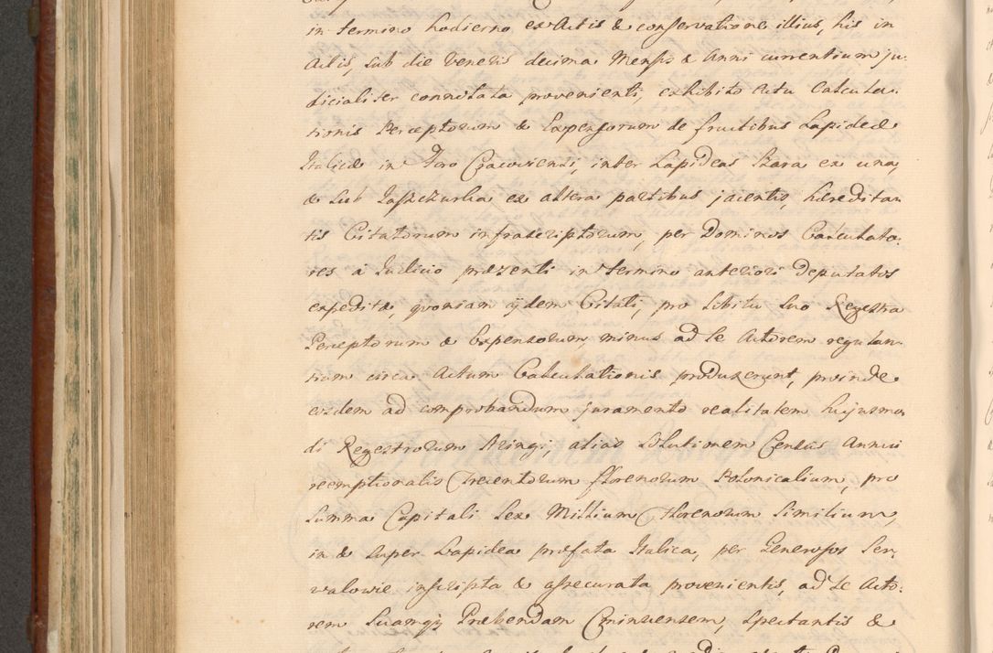 Zdjęcie nr 688 dla obiektu archiwalnego: Acta actorum episcopalium R. D. Casimiri a Łubna Łubiński, episcopi Cracoviensis, ducis Severiae ab anno 1714 ad annum 1719 conscripta. Volumen II