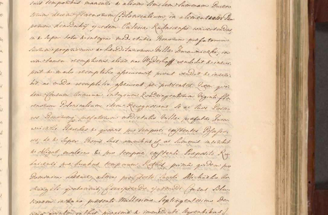 Zdjęcie nr 677 dla obiektu archiwalnego: Acta actorum episcopalium R. D. Casimiri a Łubna Łubiński, episcopi Cracoviensis, ducis Severiae ab anno 1714 ad annum 1719 conscripta. Volumen II