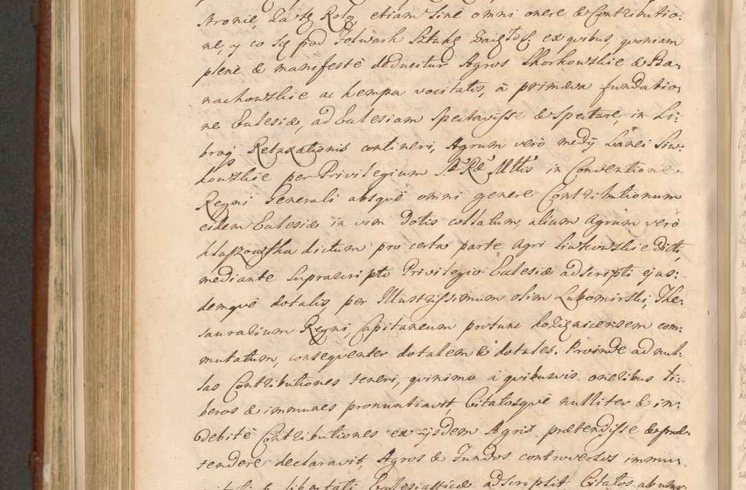 Zdjęcie nr 931 dla obiektu archiwalnego: Acta actorum episcopalium R. D. Casimiri a Łubna Łubiński, episcopi Cracoviensis, ducis Severiae ab anno 1714 ad annum 1719 conscripta. Volumen II