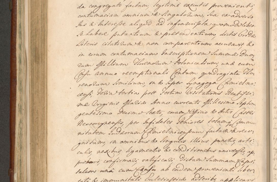 Zdjęcie nr 897 dla obiektu archiwalnego: Acta actorum episcopalium R. D. Casimiri a Łubna Łubiński, episcopi Cracoviensis, ducis Severiae ab anno 1714 ad annum 1719 conscripta. Volumen II