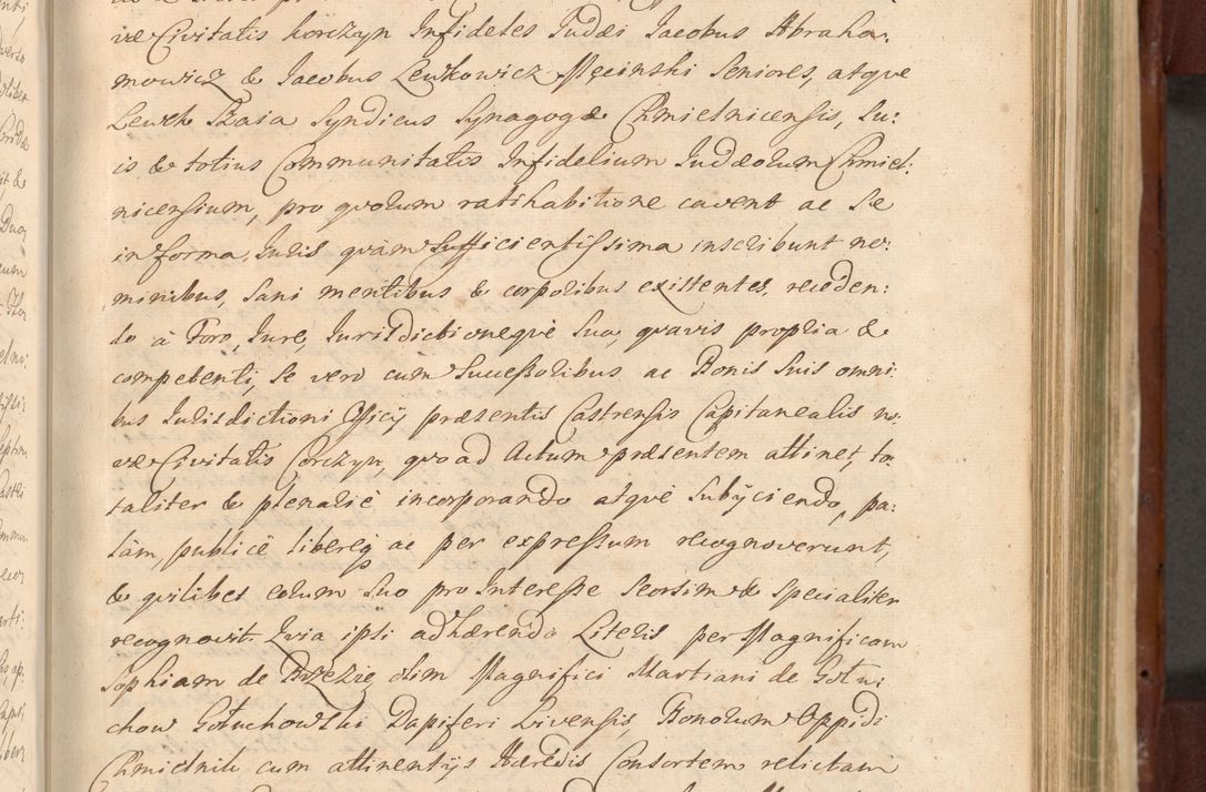 Zdjęcie nr 898 dla obiektu archiwalnego: Acta actorum episcopalium R. D. Casimiri a Łubna Łubiński, episcopi Cracoviensis, ducis Severiae ab anno 1714 ad annum 1719 conscripta. Volumen II