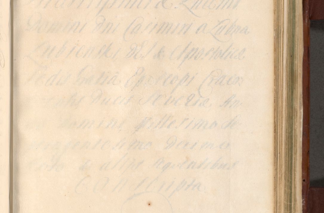 Zdjęcie nr 888 dla obiektu archiwalnego: Acta actorum episcopalium R. D. Casimiri a Łubna Łubiński, episcopi Cracoviensis, ducis Severiae ab anno 1714 ad annum 1719 conscripta. Volumen II