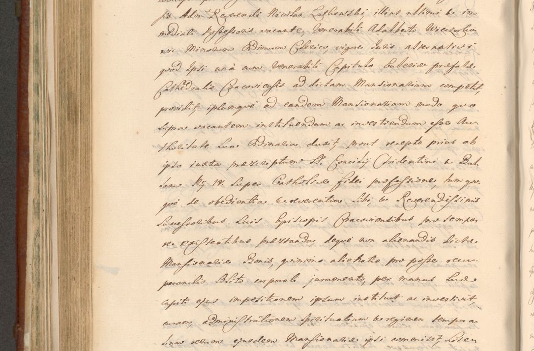 Zdjęcie nr 875 dla obiektu archiwalnego: Acta actorum episcopalium R. D. Casimiri a Łubna Łubiński, episcopi Cracoviensis, ducis Severiae ab anno 1714 ad annum 1719 conscripta. Volumen II