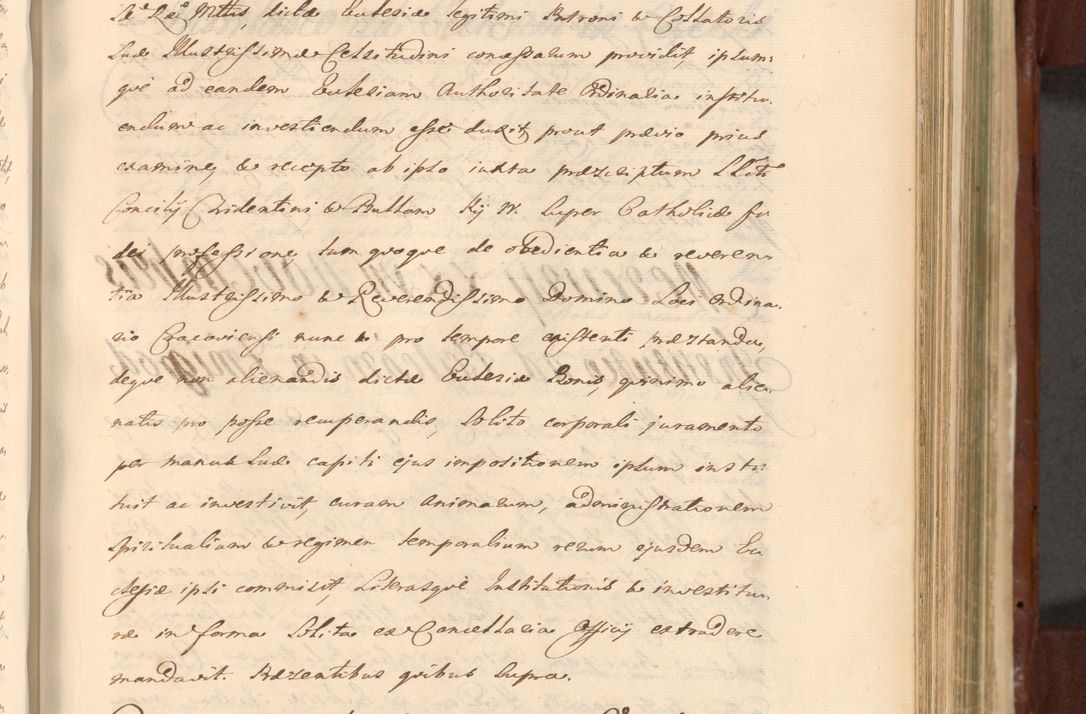 Zdjęcie nr 876 dla obiektu archiwalnego: Acta actorum episcopalium R. D. Casimiri a Łubna Łubiński, episcopi Cracoviensis, ducis Severiae ab anno 1714 ad annum 1719 conscripta. Volumen II