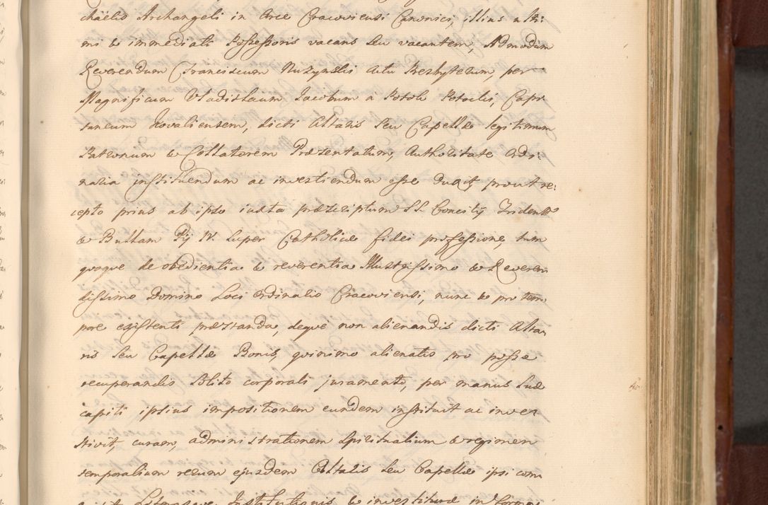 Zdjęcie nr 874 dla obiektu archiwalnego: Acta actorum episcopalium R. D. Casimiri a Łubna Łubiński, episcopi Cracoviensis, ducis Severiae ab anno 1714 ad annum 1719 conscripta. Volumen II