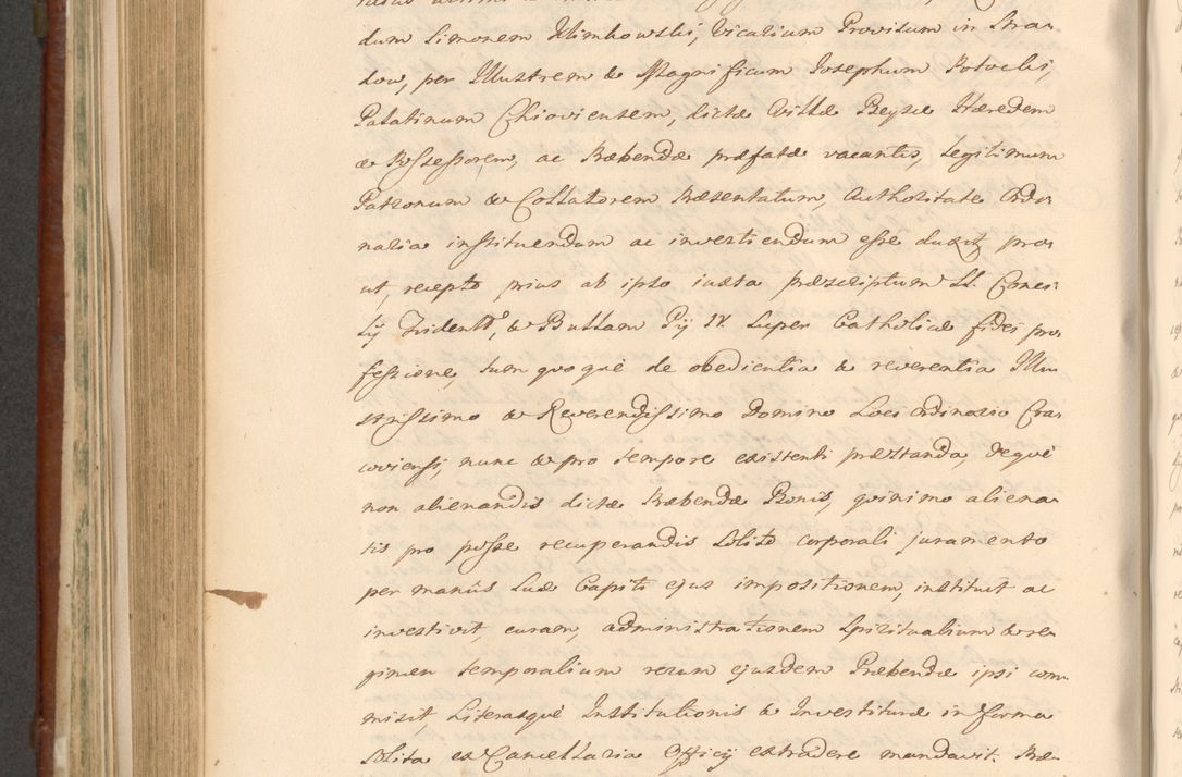 Zdjęcie nr 873 dla obiektu archiwalnego: Acta actorum episcopalium R. D. Casimiri a Łubna Łubiński, episcopi Cracoviensis, ducis Severiae ab anno 1714 ad annum 1719 conscripta. Volumen II