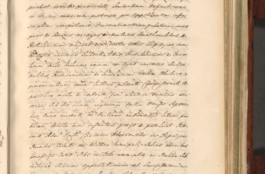 Zdjęcie nr 854 dla obiektu archiwalnego: Acta actorum episcopalium R. D. Casimiri a Łubna Łubiński, episcopi Cracoviensis, ducis Severiae ab anno 1714 ad annum 1719 conscripta. Volumen II