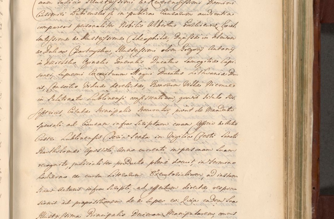 Zdjęcie nr 850 dla obiektu archiwalnego: Acta actorum episcopalium R. D. Casimiri a Łubna Łubiński, episcopi Cracoviensis, ducis Severiae ab anno 1714 ad annum 1719 conscripta. Volumen II