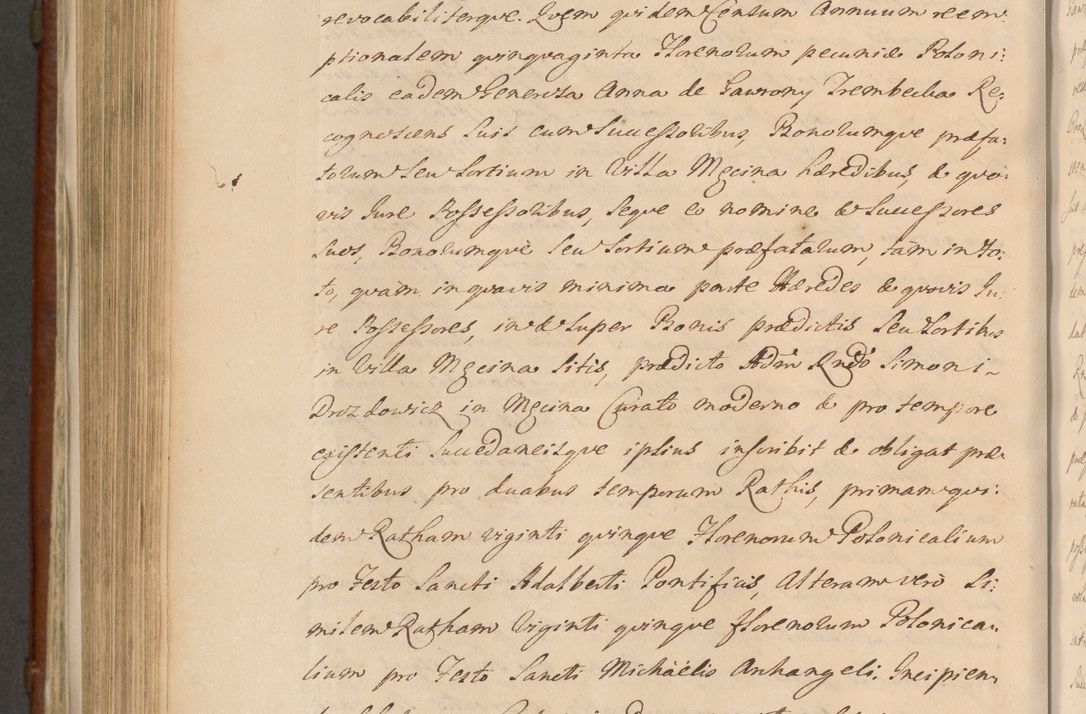 Zdjęcie nr 1143 dla obiektu archiwalnego: Acta actorum episcopalium R. D. Casimiri a Łubna Łubiński, episcopi Cracoviensis, ducis Severiae ab anno 1714 ad annum 1719 conscripta. Volumen II