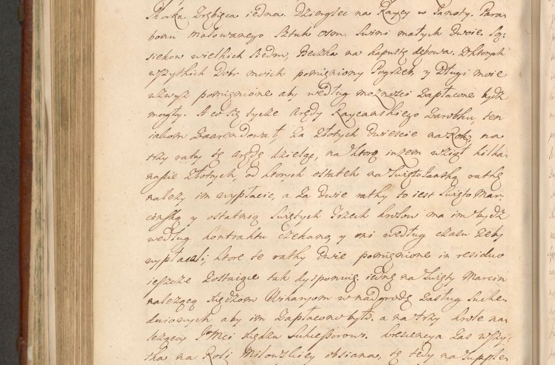 Zdjęcie nr 1031 dla obiektu archiwalnego: Acta actorum episcopalium R. D. Casimiri a Łubna Łubiński, episcopi Cracoviensis, ducis Severiae ab anno 1714 ad annum 1719 conscripta. Volumen II