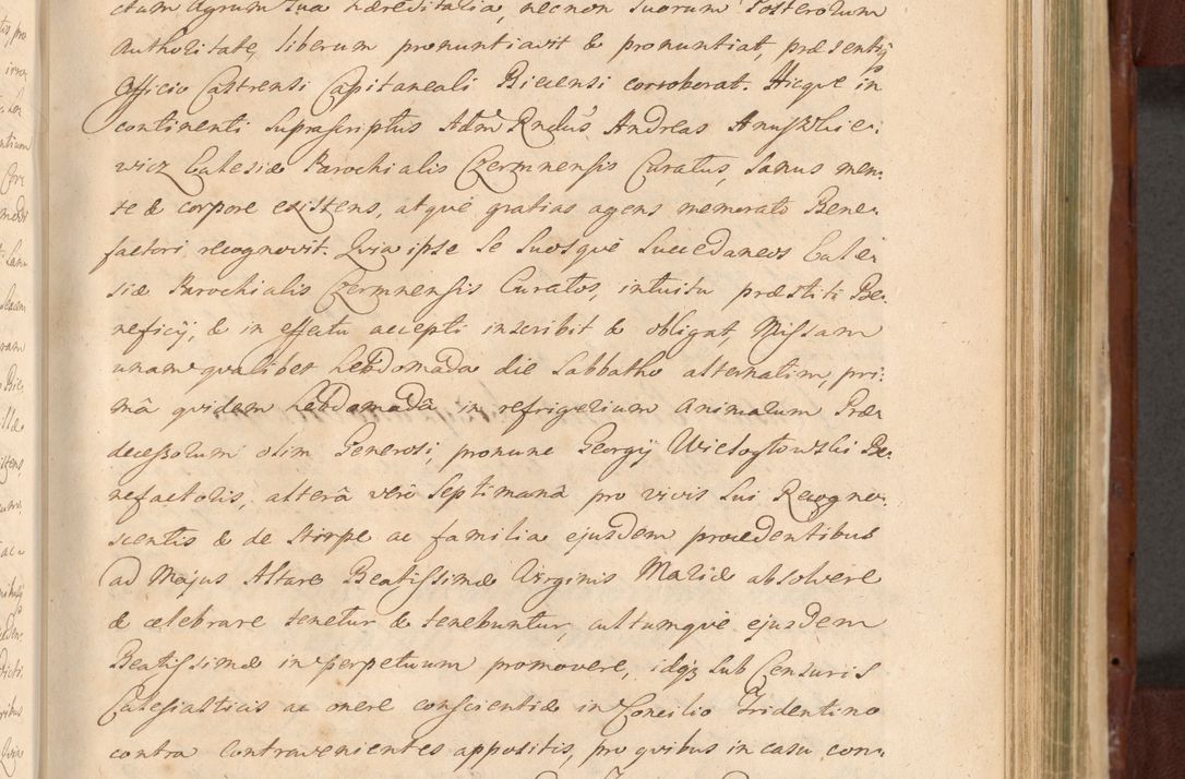 Zdjęcie nr 1020 dla obiektu archiwalnego: Acta actorum episcopalium R. D. Casimiri a Łubna Łubiński, episcopi Cracoviensis, ducis Severiae ab anno 1714 ad annum 1719 conscripta. Volumen II