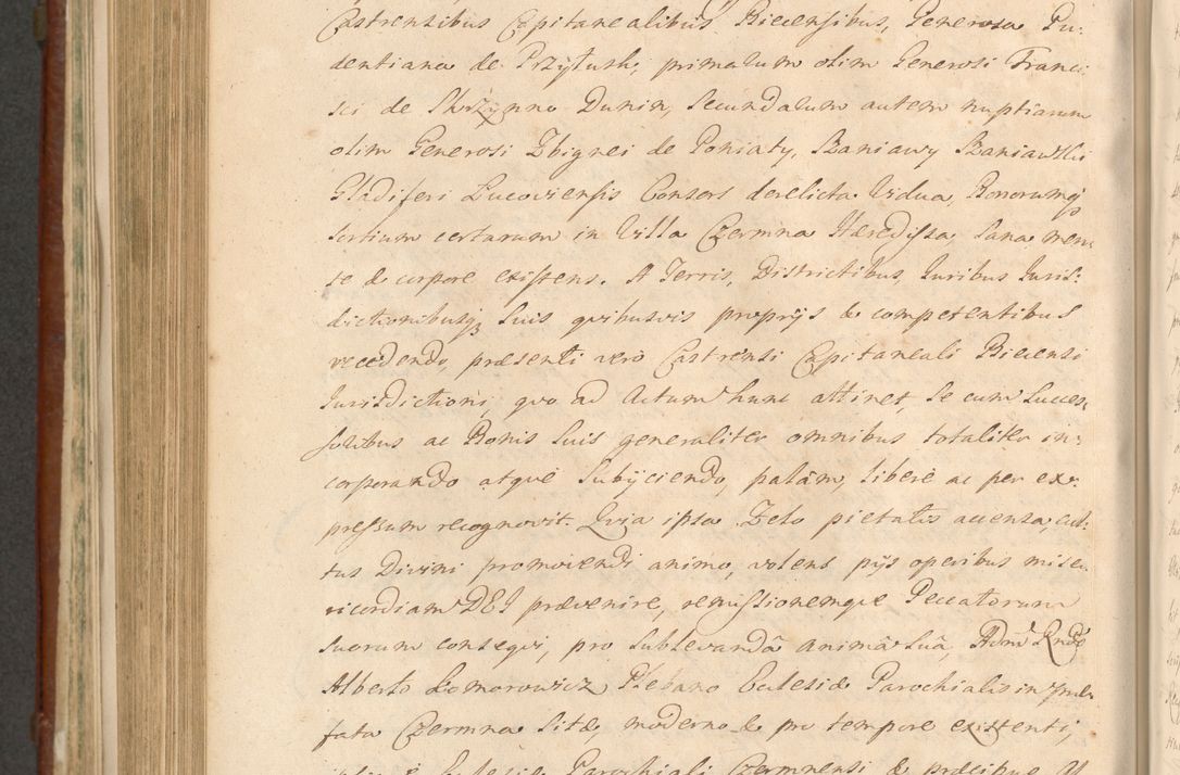 Zdjęcie nr 1011 dla obiektu archiwalnego: Acta actorum episcopalium R. D. Casimiri a Łubna Łubiński, episcopi Cracoviensis, ducis Severiae ab anno 1714 ad annum 1719 conscripta. Volumen II