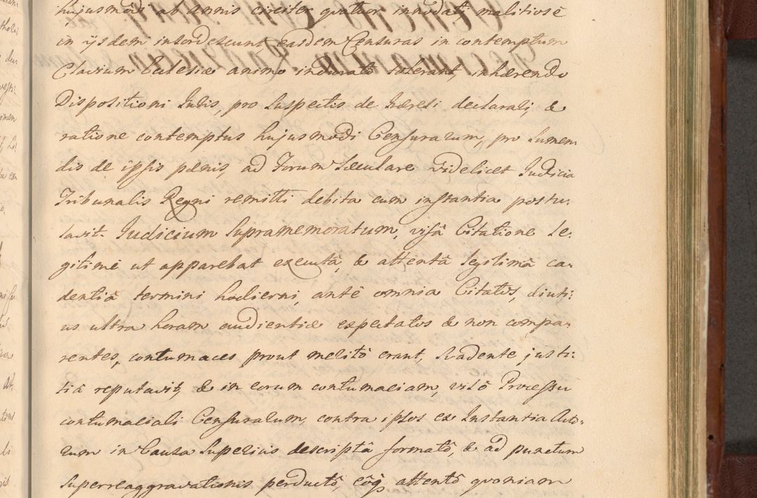 Zdjęcie nr 1200 dla obiektu archiwalnego: Acta actorum episcopalium R. D. Casimiri a Łubna Łubiński, episcopi Cracoviensis, ducis Severiae ab anno 1714 ad annum 1719 conscripta. Volumen II