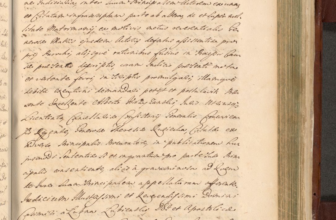 Zdjęcie nr 1393 dla obiektu archiwalnego: Acta actorum episcopalium R. D. Casimiri a Łubna Łubiński, episcopi Cracoviensis, ducis Severiae ab anno 1714 ad annum 1719 conscripta. Volumen II