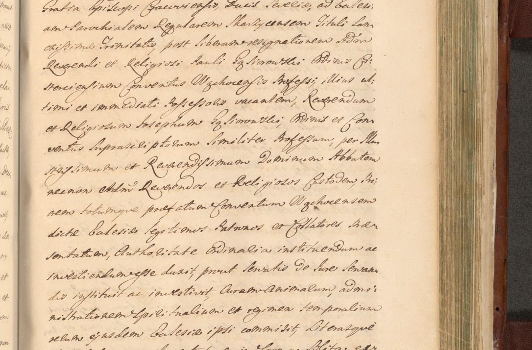 Zdjęcie nr 1373 dla obiektu archiwalnego: Acta actorum episcopalium R. D. Casimiri a Łubna Łubiński, episcopi Cracoviensis, ducis Severiae ab anno 1714 ad annum 1719 conscripta. Volumen II