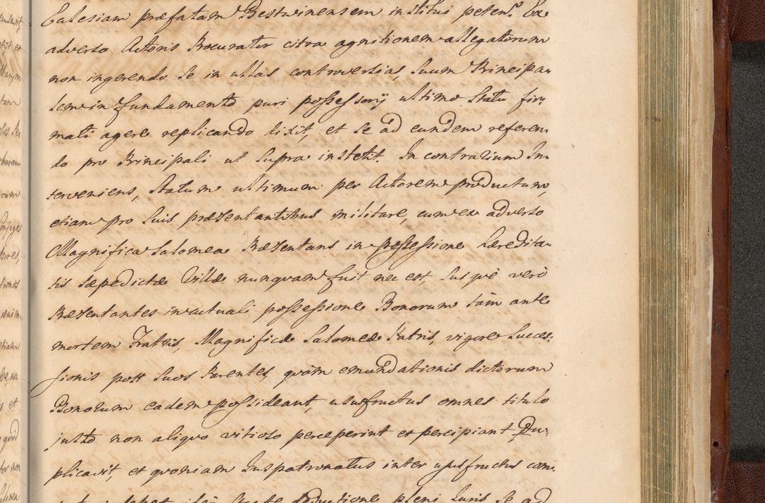 Zdjęcie nr 1601 dla obiektu archiwalnego: Acta actorum episcopalium R. D. Casimiri a Łubna Łubiński, episcopi Cracoviensis, ducis Severiae ab anno 1714 ad annum 1719 conscripta. Volumen II