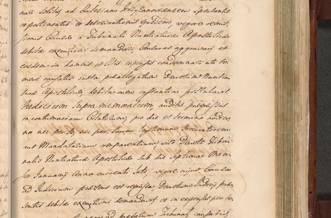 Zdjęcie nr 1573 dla obiektu archiwalnego: Acta actorum episcopalium R. D. Casimiri a Łubna Łubiński, episcopi Cracoviensis, ducis Severiae ab anno 1714 ad annum 1719 conscripta. Volumen II