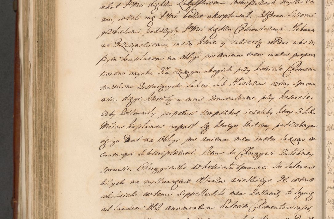 Zdjęcie nr 1570 dla obiektu archiwalnego: Acta actorum episcopalium R. D. Casimiri a Łubna Łubiński, episcopi Cracoviensis, ducis Severiae ab anno 1714 ad annum 1719 conscripta. Volumen II