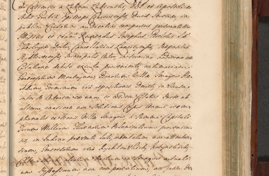 Zdjęcie nr 1561 dla obiektu archiwalnego: Acta actorum episcopalium R. D. Casimiri a Łubna Łubiński, episcopi Cracoviensis, ducis Severiae ab anno 1714 ad annum 1719 conscripta. Volumen II