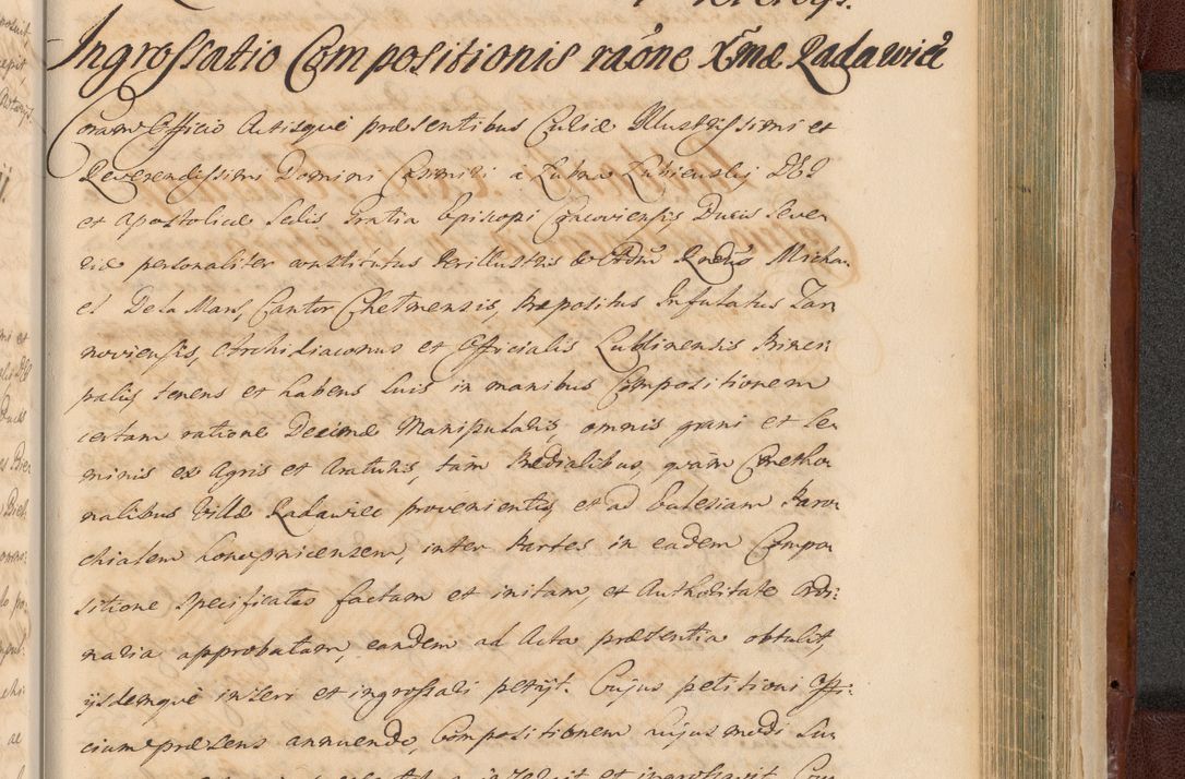 Zdjęcie nr 1551 dla obiektu archiwalnego: Acta actorum episcopalium R. D. Casimiri a Łubna Łubiński, episcopi Cracoviensis, ducis Severiae ab anno 1714 ad annum 1719 conscripta. Volumen II