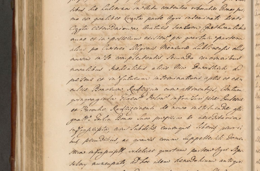 Zdjęcie nr 1540 dla obiektu archiwalnego: Acta actorum episcopalium R. D. Casimiri a Łubna Łubiński, episcopi Cracoviensis, ducis Severiae ab anno 1714 ad annum 1719 conscripta. Volumen II