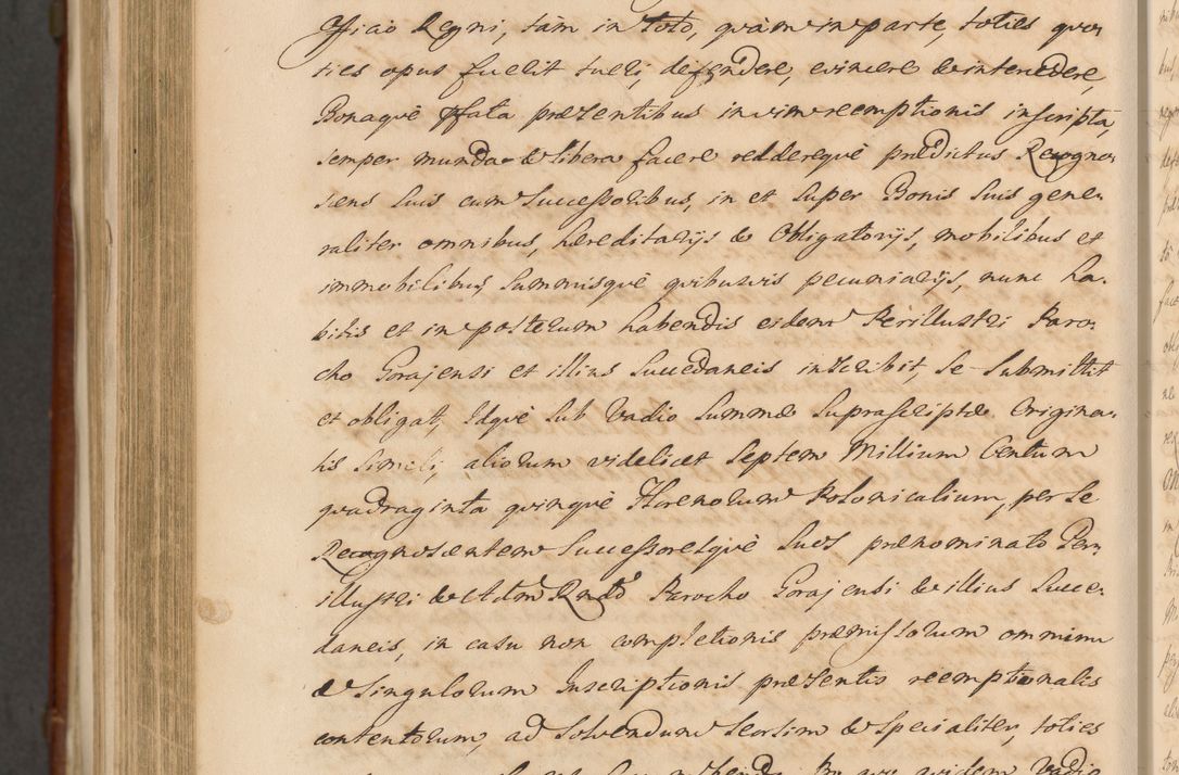 Zdjęcie nr 1538 dla obiektu archiwalnego: Acta actorum episcopalium R. D. Casimiri a Łubna Łubiński, episcopi Cracoviensis, ducis Severiae ab anno 1714 ad annum 1719 conscripta. Volumen II
