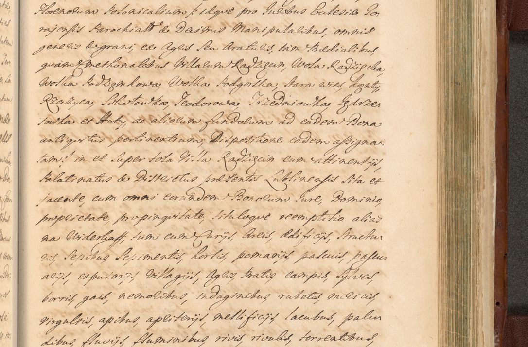 Zdjęcie nr 1535 dla obiektu archiwalnego: Acta actorum episcopalium R. D. Casimiri a Łubna Łubiński, episcopi Cracoviensis, ducis Severiae ab anno 1714 ad annum 1719 conscripta. Volumen II