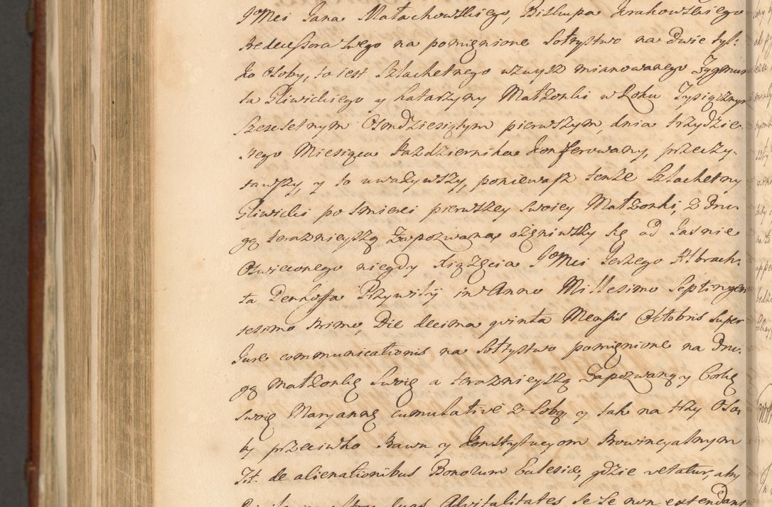 Zdjęcie nr 1500 dla obiektu archiwalnego: Acta actorum episcopalium R. D. Casimiri a Łubna Łubiński, episcopi Cracoviensis, ducis Severiae ab anno 1714 ad annum 1719 conscripta. Volumen II
