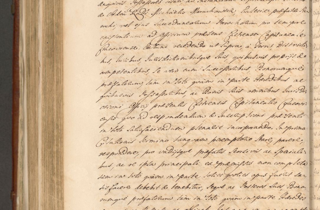 Zdjęcie nr 1494 dla obiektu archiwalnego: Acta actorum episcopalium R. D. Casimiri a Łubna Łubiński, episcopi Cracoviensis, ducis Severiae ab anno 1714 ad annum 1719 conscripta. Volumen II