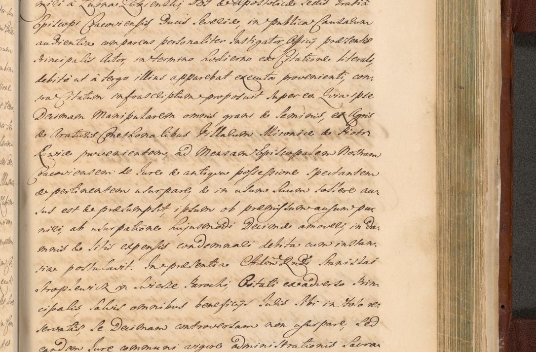 Zdjęcie nr 1487 dla obiektu archiwalnego: Acta actorum episcopalium R. D. Casimiri a Łubna Łubiński, episcopi Cracoviensis, ducis Severiae ab anno 1714 ad annum 1719 conscripta. Volumen II