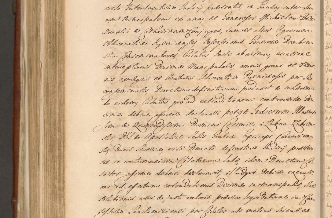 Zdjęcie nr 1486 dla obiektu archiwalnego: Acta actorum episcopalium R. D. Casimiri a Łubna Łubiński, episcopi Cracoviensis, ducis Severiae ab anno 1714 ad annum 1719 conscripta. Volumen II