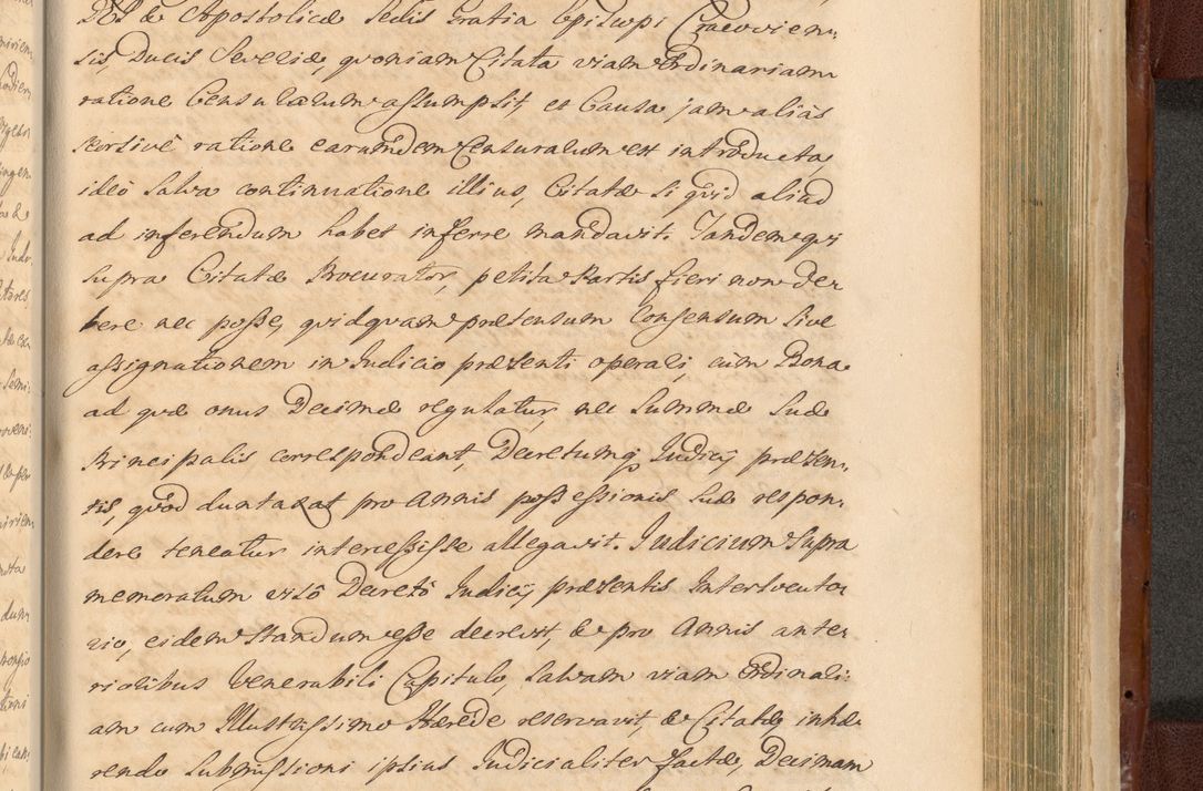 Zdjęcie nr 1485 dla obiektu archiwalnego: Acta actorum episcopalium R. D. Casimiri a Łubna Łubiński, episcopi Cracoviensis, ducis Severiae ab anno 1714 ad annum 1719 conscripta. Volumen II