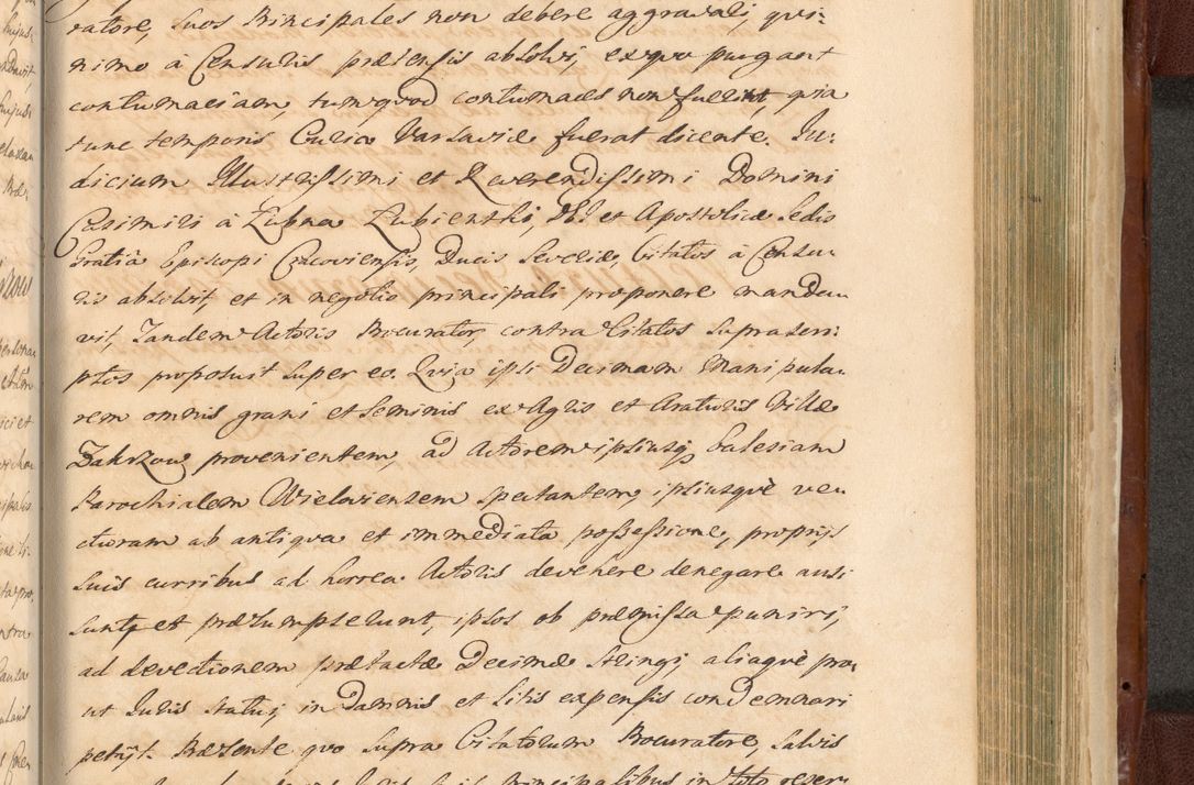 Zdjęcie nr 1457 dla obiektu archiwalnego: Acta actorum episcopalium R. D. Casimiri a Łubna Łubiński, episcopi Cracoviensis, ducis Severiae ab anno 1714 ad annum 1719 conscripta. Volumen II