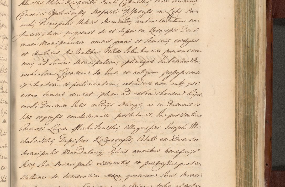 Zdjęcie nr 1411 dla obiektu archiwalnego: Acta actorum episcopalium R. D. Casimiri a Łubna Łubiński, episcopi Cracoviensis, ducis Severiae ab anno 1714 ad annum 1719 conscripta. Volumen II
