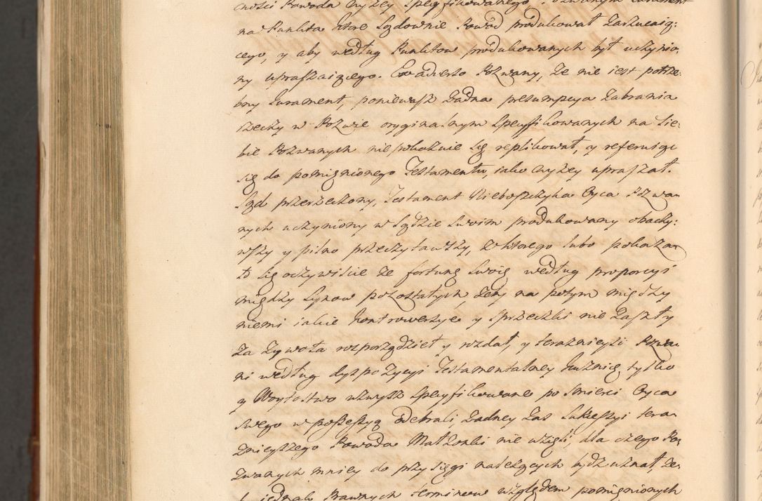 Zdjęcie nr 1858 dla obiektu archiwalnego: Acta actorum episcopalium R. D. Casimiri a Łubna Łubiński, episcopi Cracoviensis, ducis Severiae ab anno 1714 ad annum 1719 conscripta. Volumen II