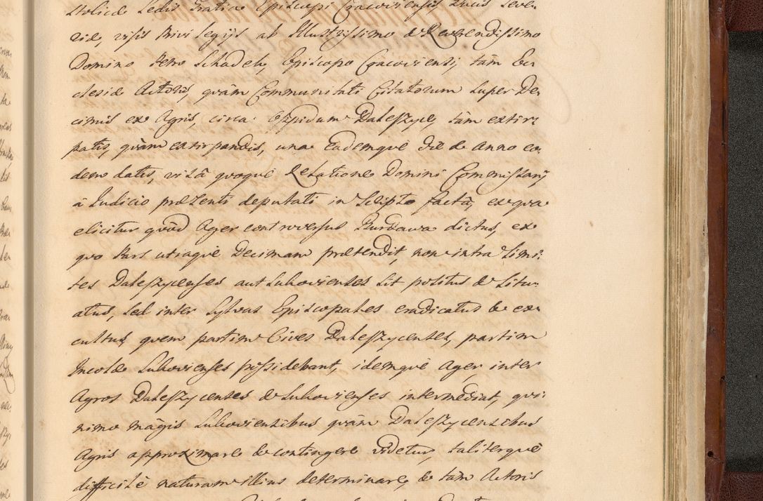Zdjęcie nr 1817 dla obiektu archiwalnego: Acta actorum episcopalium R. D. Casimiri a Łubna Łubiński, episcopi Cracoviensis, ducis Severiae ab anno 1714 ad annum 1719 conscripta. Volumen II
