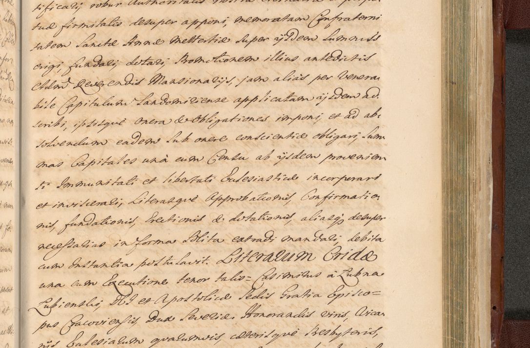 Zdjęcie nr 1611 dla obiektu archiwalnego: Acta actorum episcopalium R. D. Casimiri a Łubna Łubiński, episcopi Cracoviensis, ducis Severiae ab anno 1714 ad annum 1719 conscripta. Volumen II