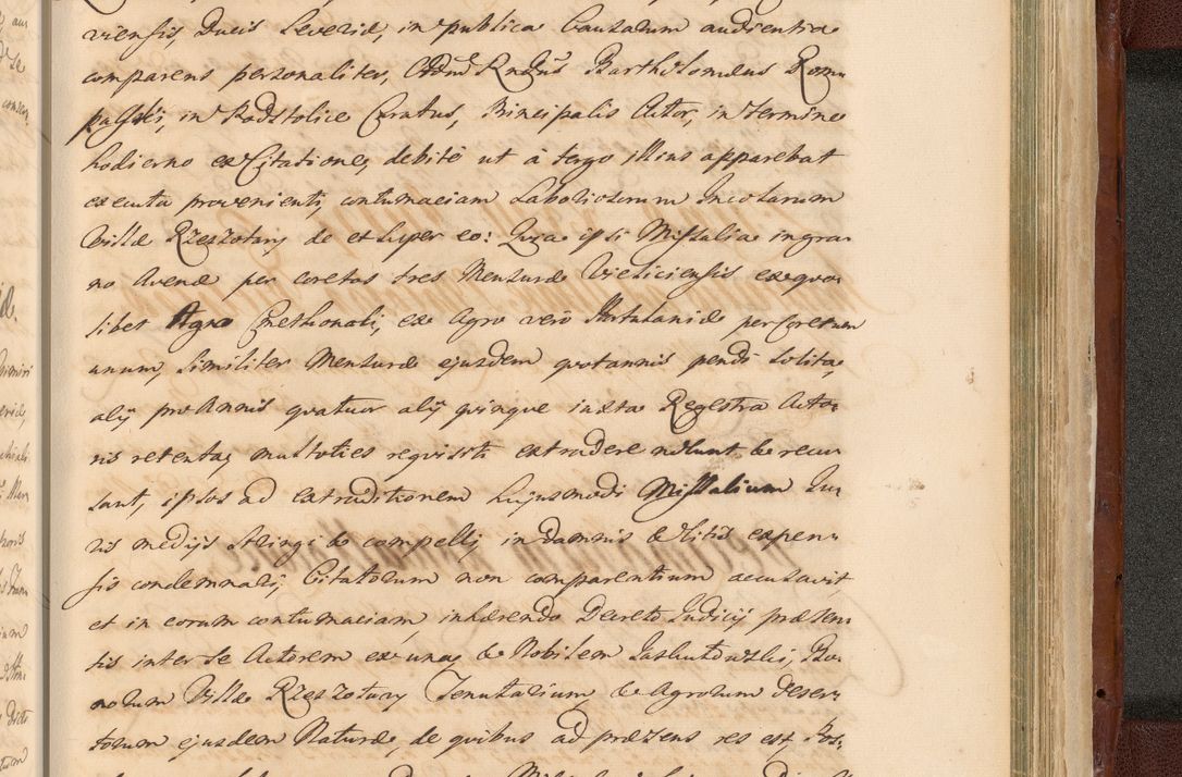 Zdjęcie nr 1751 dla obiektu archiwalnego: Acta actorum episcopalium R. D. Casimiri a Łubna Łubiński, episcopi Cracoviensis, ducis Severiae ab anno 1714 ad annum 1719 conscripta. Volumen II