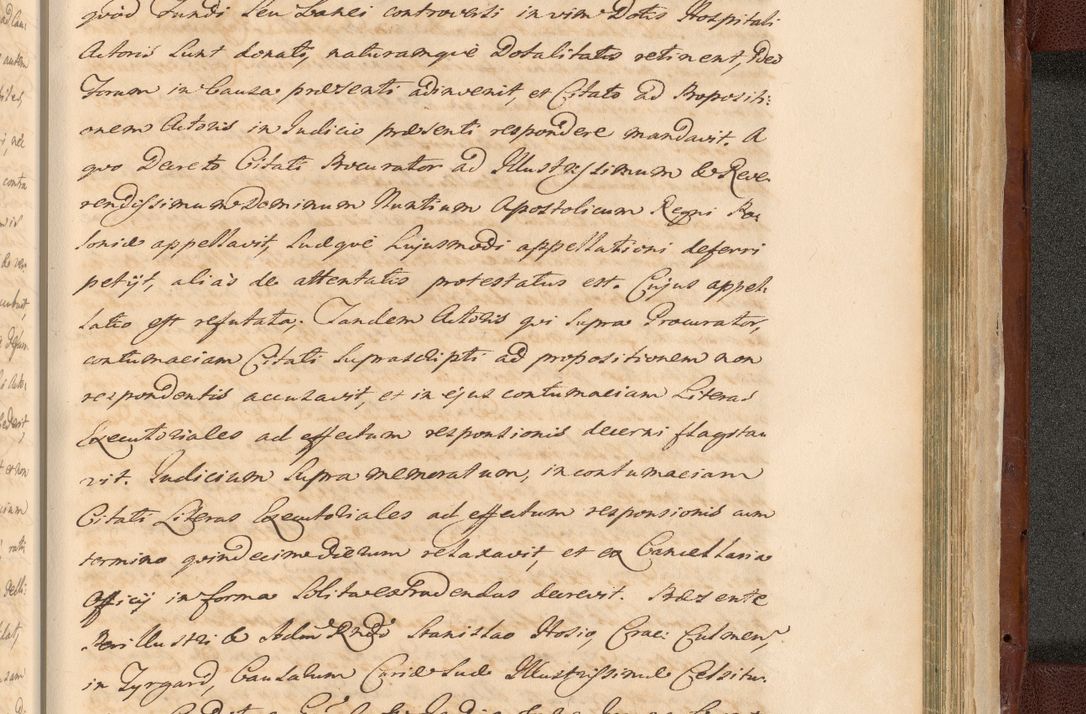 Zdjęcie nr 1739 dla obiektu archiwalnego: Acta actorum episcopalium R. D. Casimiri a Łubna Łubiński, episcopi Cracoviensis, ducis Severiae ab anno 1714 ad annum 1719 conscripta. Volumen II