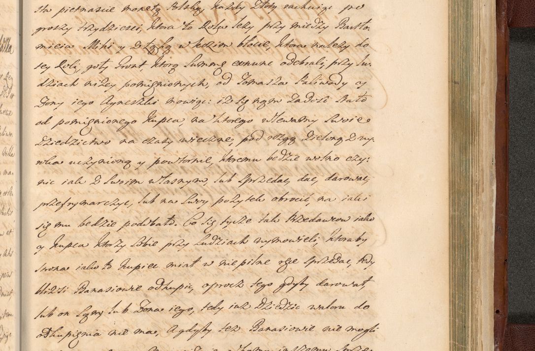 Zdjęcie nr 1649 dla obiektu archiwalnego: Acta actorum episcopalium R. D. Casimiri a Łubna Łubiński, episcopi Cracoviensis, ducis Severiae ab anno 1714 ad annum 1719 conscripta. Volumen II
