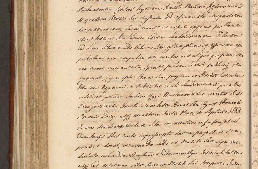 Zdjęcie nr 1626 dla obiektu archiwalnego: Acta actorum episcopalium R. D. Casimiri a Łubna Łubiński, episcopi Cracoviensis, ducis Severiae ab anno 1714 ad annum 1719 conscripta. Volumen II