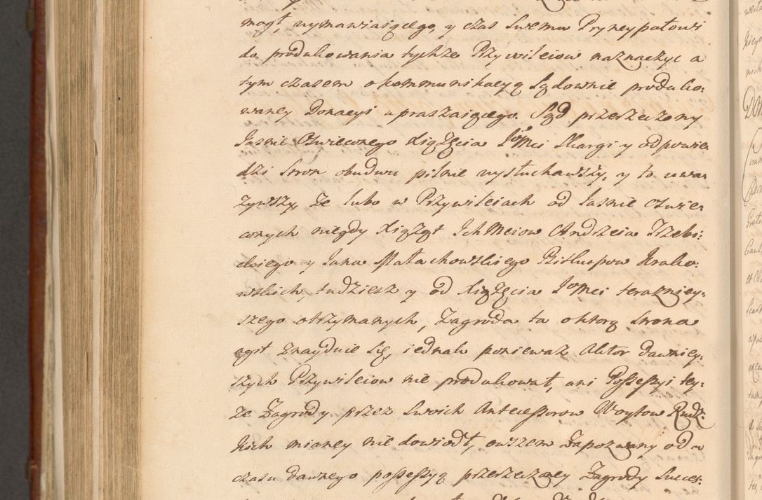 Zdjęcie nr 1361 dla obiektu archiwalnego: Acta actorum episcopalium R. D. Casimiri a Łubna Łubiński, episcopi Cracoviensis, ducis Severiae ab anno 1714 ad annum 1719 conscripta. Volumen II