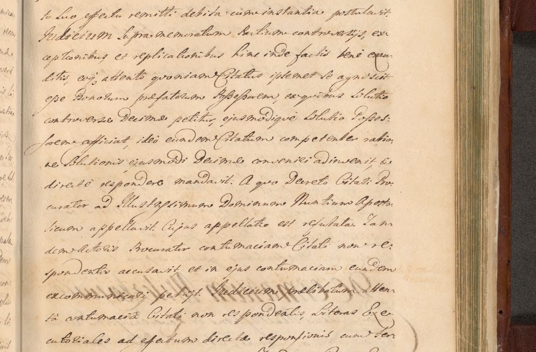 Zdjęcie nr 1340 dla obiektu archiwalnego: Acta actorum episcopalium R. D. Casimiri a Łubna Łubiński, episcopi Cracoviensis, ducis Severiae ab anno 1714 ad annum 1719 conscripta. Volumen II