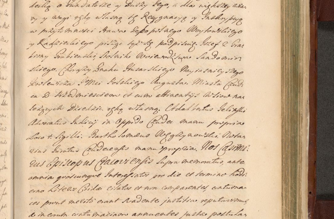 Zdjęcie nr 1318 dla obiektu archiwalnego: Acta actorum episcopalium R. D. Casimiri a Łubna Łubiński, episcopi Cracoviensis, ducis Severiae ab anno 1714 ad annum 1719 conscripta. Volumen II