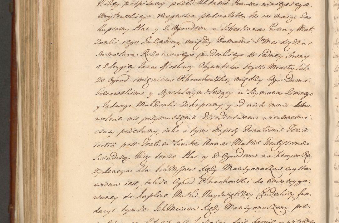 Zdjęcie nr 1317 dla obiektu archiwalnego: Acta actorum episcopalium R. D. Casimiri a Łubna Łubiński, episcopi Cracoviensis, ducis Severiae ab anno 1714 ad annum 1719 conscripta. Volumen II