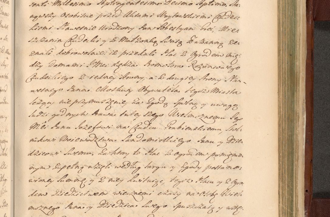 Zdjęcie nr 1316 dla obiektu archiwalnego: Acta actorum episcopalium R. D. Casimiri a Łubna Łubiński, episcopi Cracoviensis, ducis Severiae ab anno 1714 ad annum 1719 conscripta. Volumen II