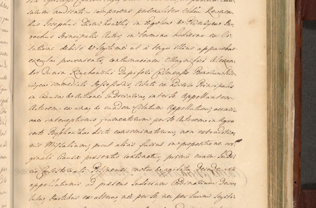 Zdjęcie nr 1286 dla obiektu archiwalnego: Acta actorum episcopalium R. D. Casimiri a Łubna Łubiński, episcopi Cracoviensis, ducis Severiae ab anno 1714 ad annum 1719 conscripta. Volumen II