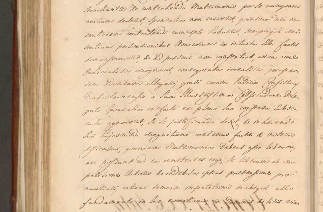 Zdjęcie nr 1251 dla obiektu archiwalnego: Acta actorum episcopalium R. D. Casimiri a Łubna Łubiński, episcopi Cracoviensis, ducis Severiae ab anno 1714 ad annum 1719 conscripta. Volumen II