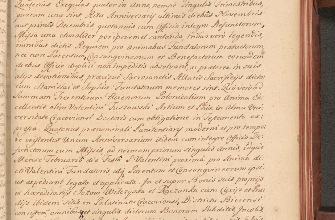 Zdjęcie nr 572 dla obiektu archiwalnego: Acta actorum episcopalium R. D. Constantini Feliciani in Szaniawy Szaniawski, episcopi Cracoviensis, ducis Severiae per annos 1720 - 1723 conscripta. Volumen I