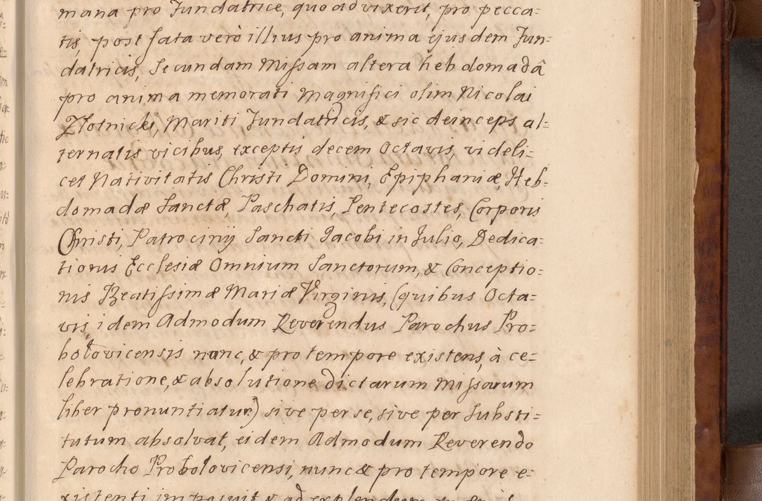 Zdjęcie nr 190 dla obiektu archiwalnego: Volumen VIII actorum episcopalium R. D. Joannis Małachowski, episcopi Cracoviensis ducis Severiae de anno 1697, quorum index videatur ad finem